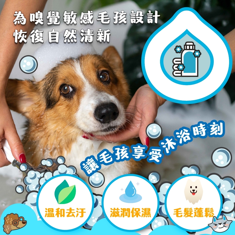 臭味滾 植萃純淨沐浴露500ml